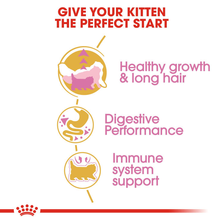 RC Persian Kitten  2 Kg