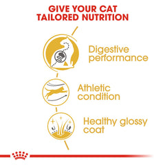 RC Bengal Adult Cat Food 2kg