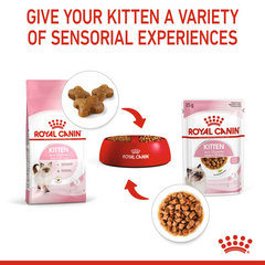 RC Kitten gravy pouch 1 piece 85g