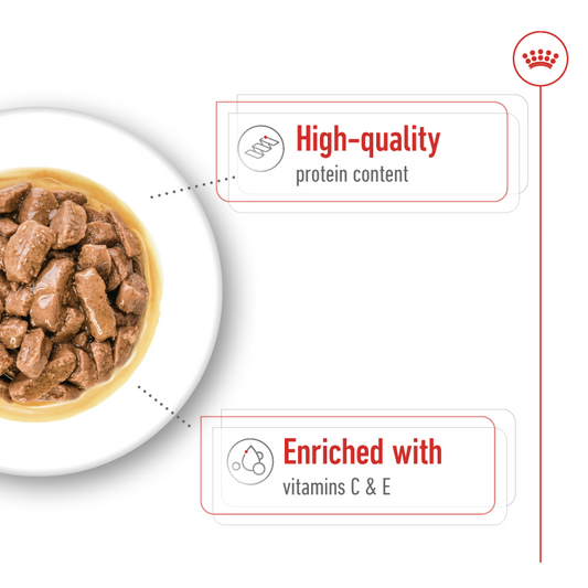 RC Medium adult  wet food 1p 140g