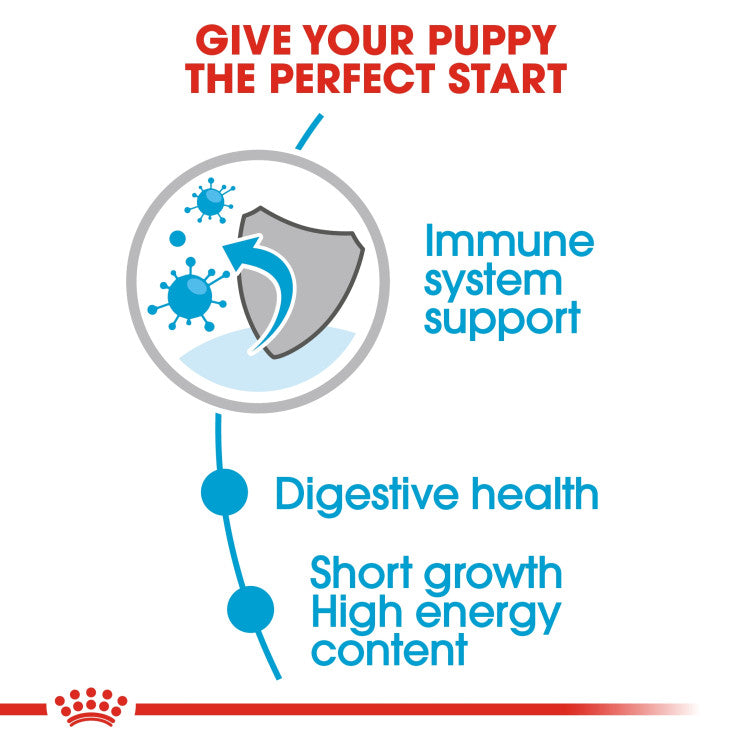 RC Puppy Medium Wet Food 1 piece 140 g