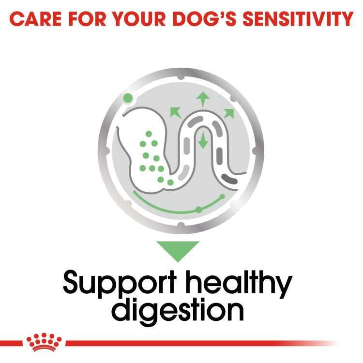 RC Digestive Care gravy for dogs