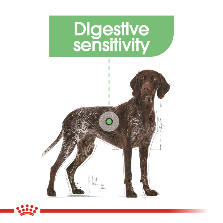 RC  Maxi Digestive Care dog dry food 12 kg