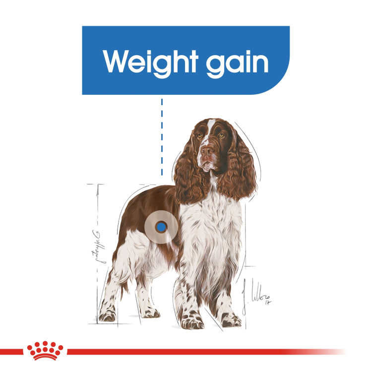 RC Medium light weight care 12kg
