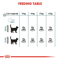 RC Hairball Care 400g