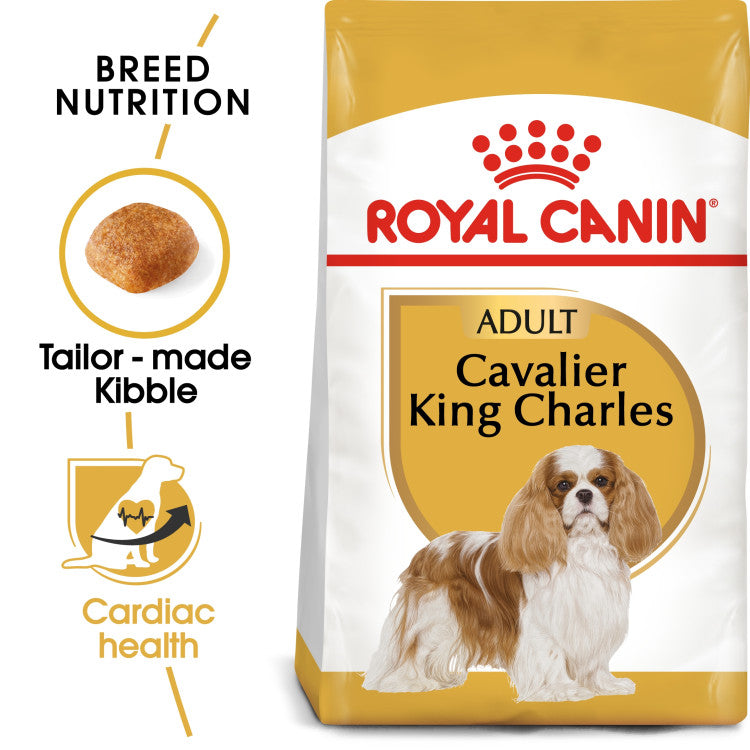 RC Cavalier King Charles Adult 1.5 KG