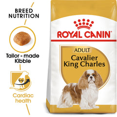 RC Cavalier King Charles Adult 1.5 KG