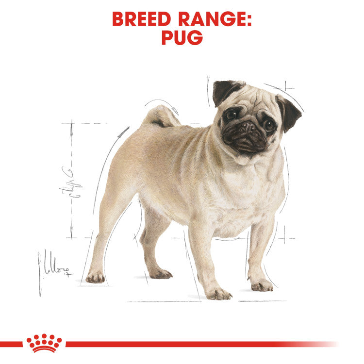Rc pug adult dog dry food 1.5 kg