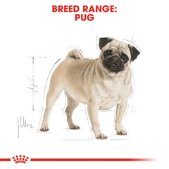 Rc pug adult dog dry food 1.5 kg