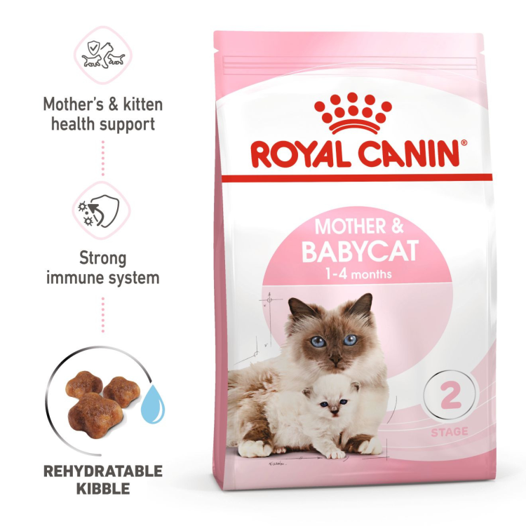 RC Mother & Baby Cat   4kg