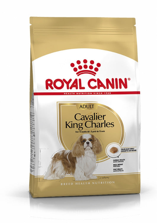 RC Cavalier King Charles Adult 1.5 KG