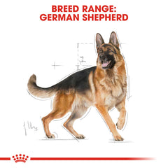 RC German Shepherd Adult dry food