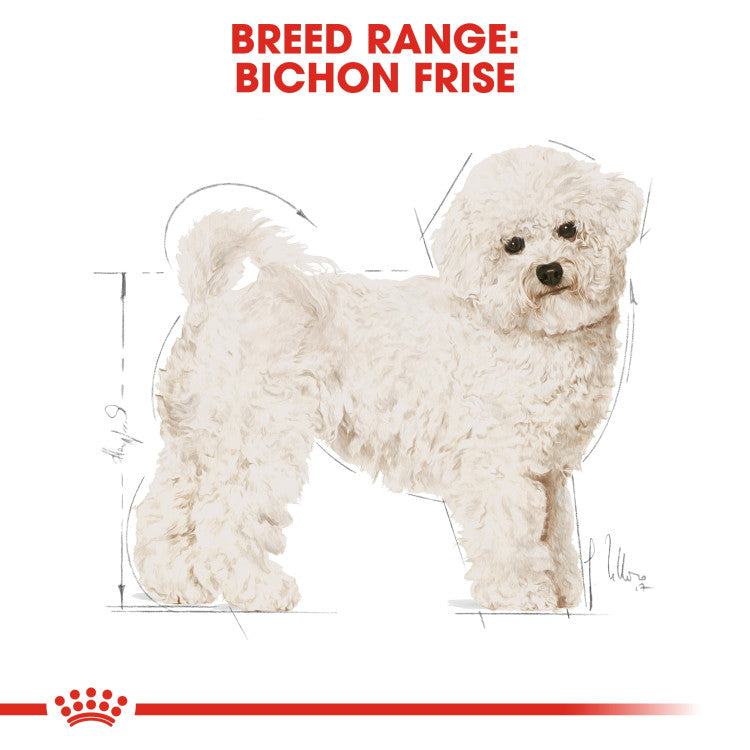 RC Bichon Frise Adult 1.5kg