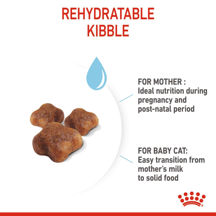 RC Mother & Baby Cat   4kg