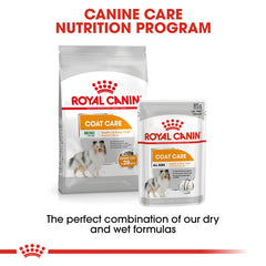 RC Coat care Gravy Dog 1 pc