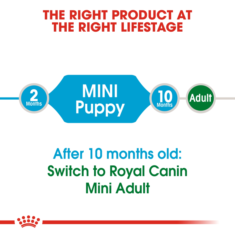 RC Mini Puppy 4 KG