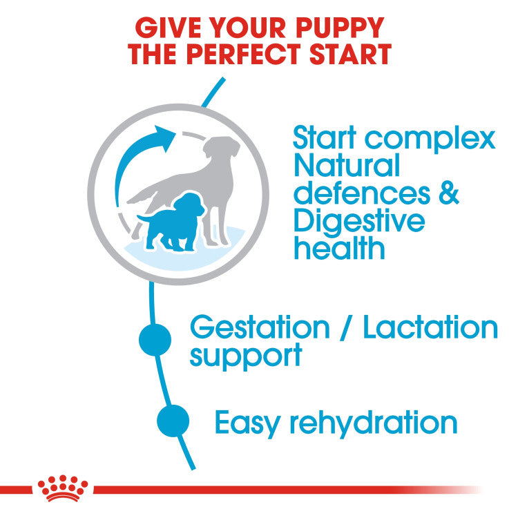 RC Starter Mother and Baby Dog Medium dry food 4kg