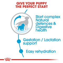 RC Starter Mother and Baby Dog Medium dry food 4kg