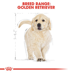 Golden Retriever Puppy dry food 12 kg