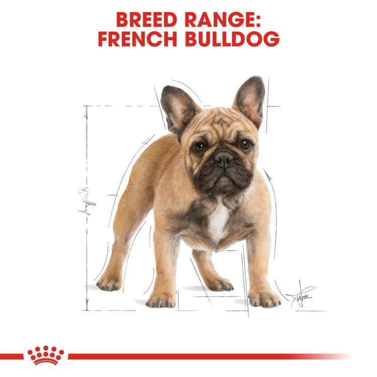 RC French Bull Dog dry food 3KG