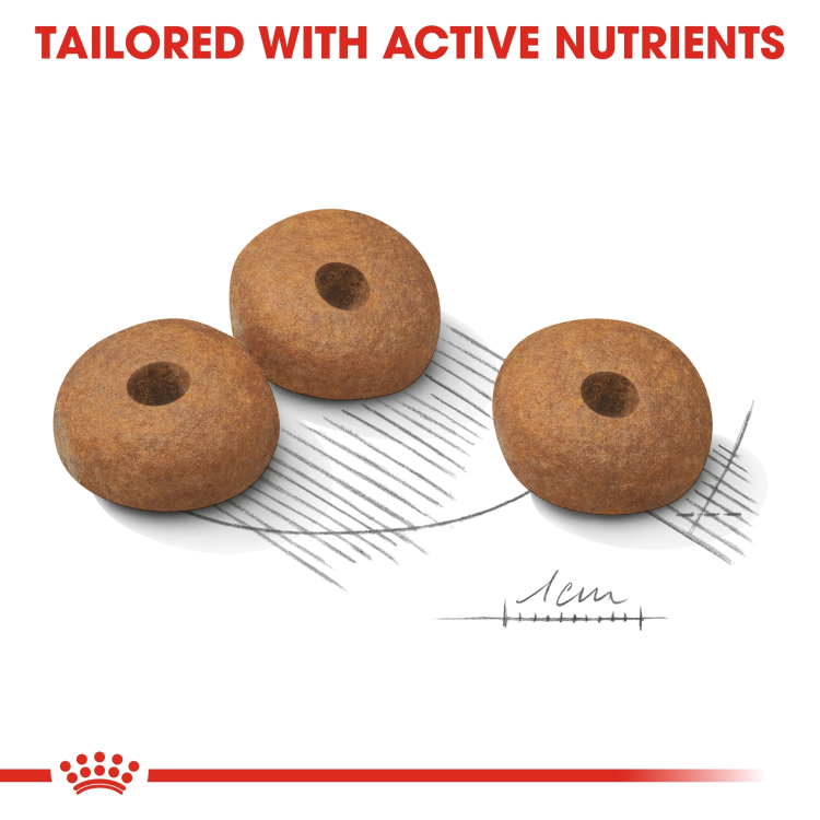 RC Medium light weight care 12kg
