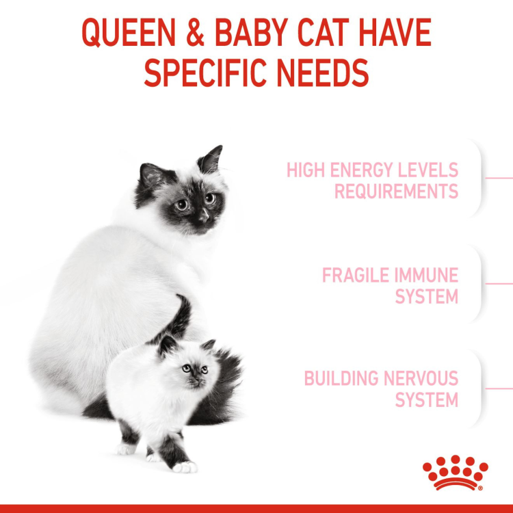 RC Mother & Baby Cat   4kg