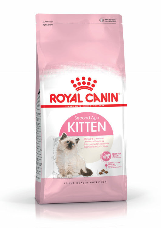 RC Kitten