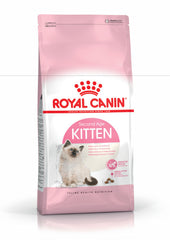 RC Kitten