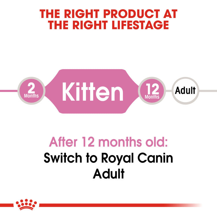 RC Kitten