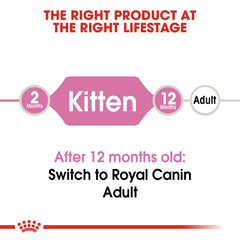 RC Kitten