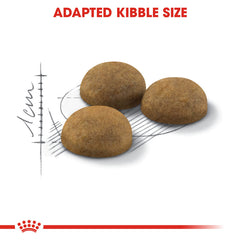RC Indoor long hair 2kg