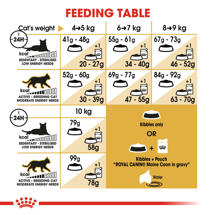 RC Maine Coon Adult 2kg