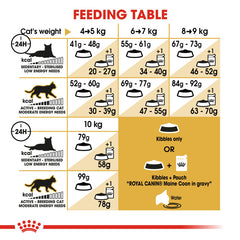 RC Maine Coon Adult 2kg
