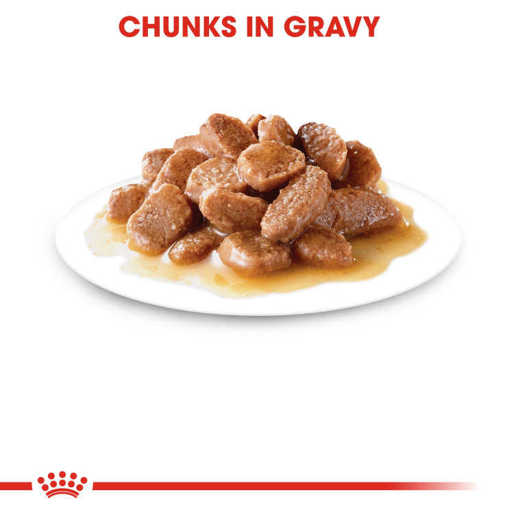 RC Instinctive gravy Adult Wet Food 1 Piece 85g