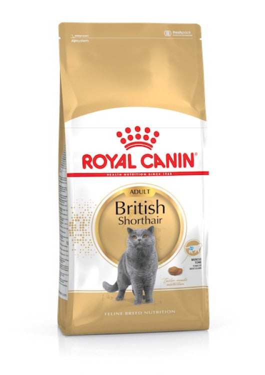 RC British Shorthair Adult 4Kg