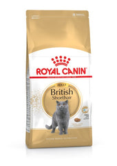 RC British Shorthair Adult 4Kg