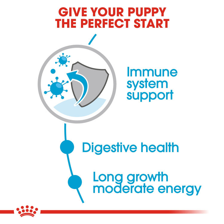 Size Health Nutrition Maxi Puppy (Wet Food - Pouches) 10 x 140 g