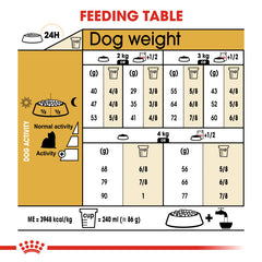 RC Adult Yorkshire Terrier 1.5 Kg