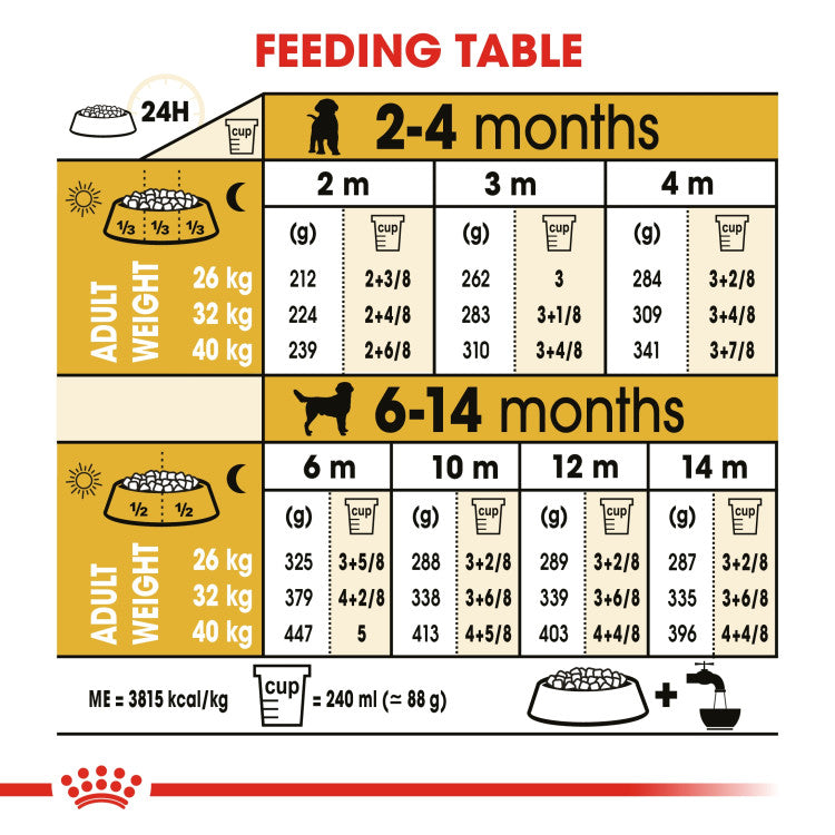 Rc Labrador Puppy dry food