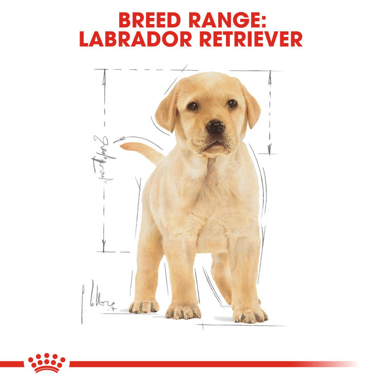 Rc Labrador Puppy dry food