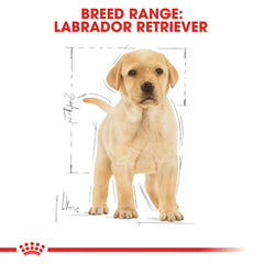 Rc Labrador Puppy dry food