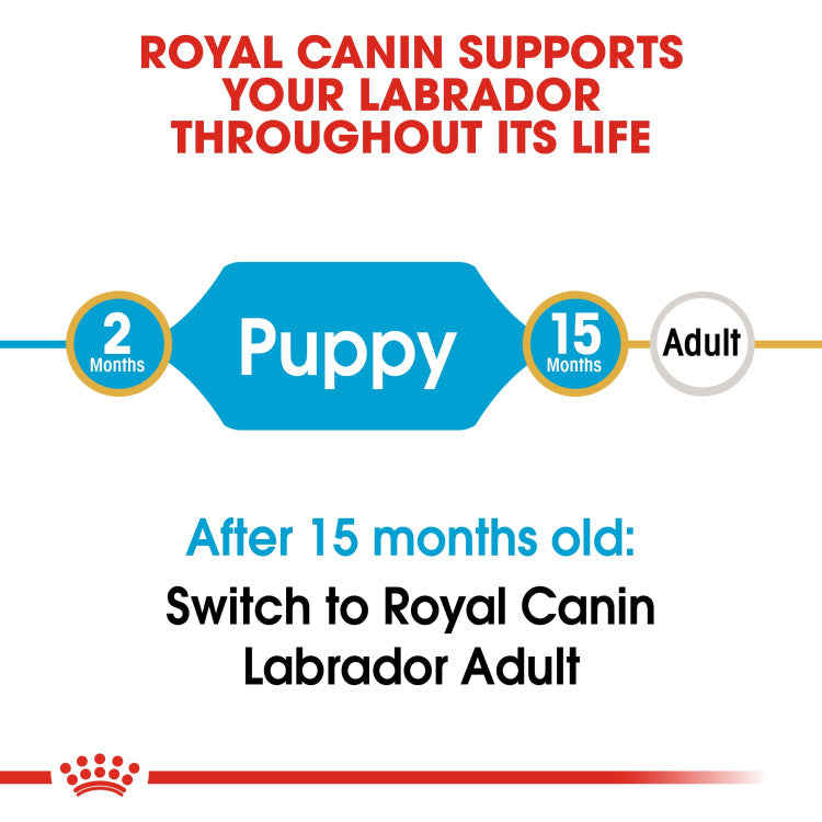 Rc Labrador Puppy dry food