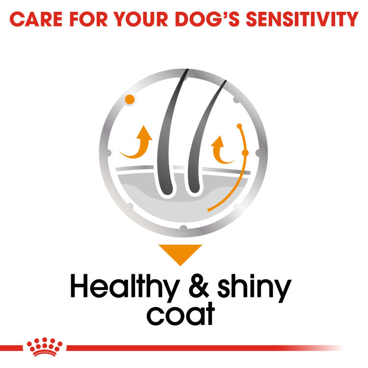 RC Coat care Gravy Dog 1 pc
