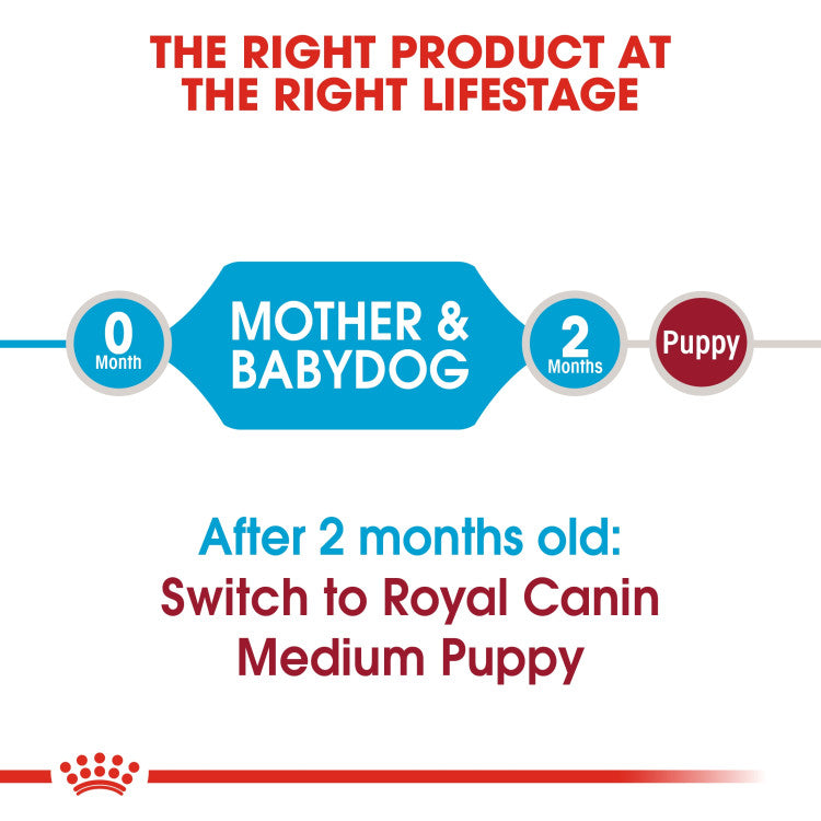 RC Starter Mother and Baby Dog Medium dry food 4kg