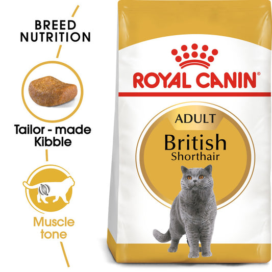 RC British Shorthair Adult 4Kg