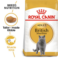 RC British Shorthair Adult 4Kg