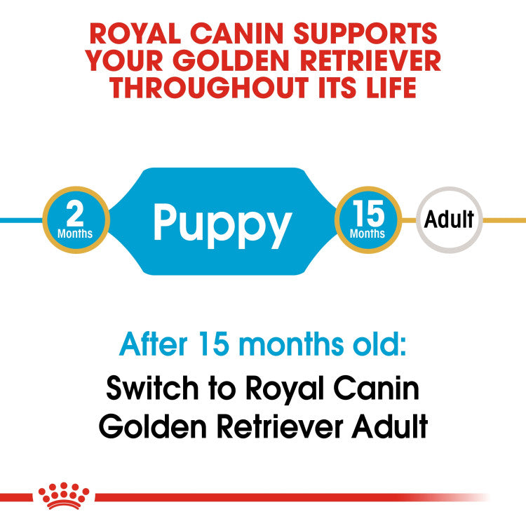 Golden Retriever Puppy dry food 12 kg