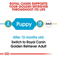 Golden Retriever Puppy dry food 12 kg