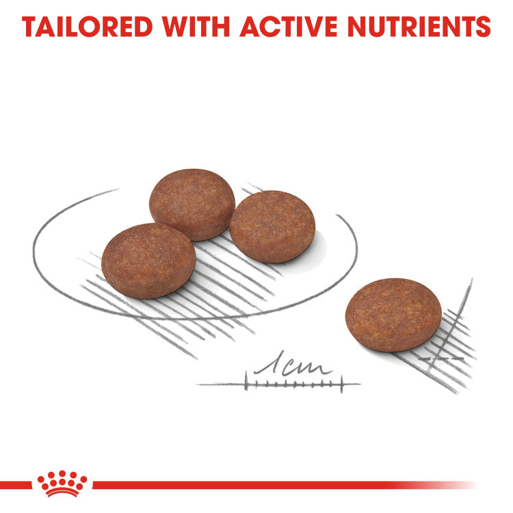 RC MINI DIGESTIVE CARE 3 KG