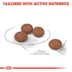 RC MINI DIGESTIVE CARE 3 KG